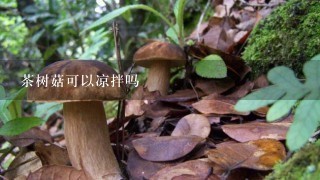 茶树菇可以凉拌吗