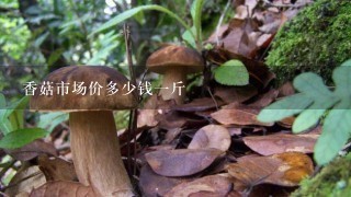 香菇市场价多少钱一斤