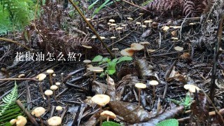 花椒油怎么熬?