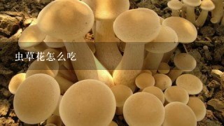 虫草花怎么吃