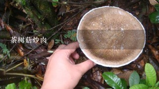 茶树菇炒肉