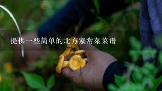 提供一些简单的北方家常菜菜谱