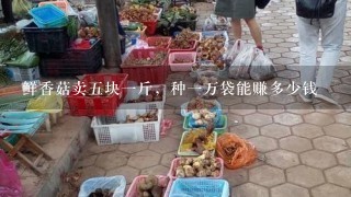 鲜香菇卖五块一斤，种一万袋能赚多少钱