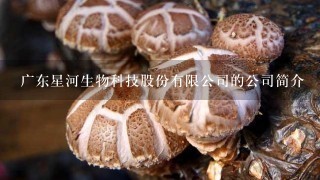 广东星河生物科技股份有限公司的公司简介