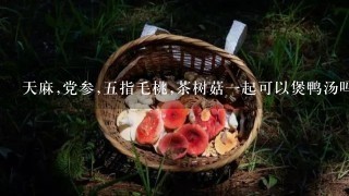 天麻,党参,五指毛桃,茶树菇一起可以煲鸭汤吗?