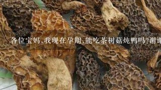 各位宝妈,我现在孕期,能吃茶树菇炖鸭吗?谢谢