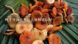 鸭子煲汤放些什么材料比较好