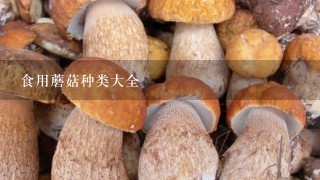 食用蘑菇种类大全