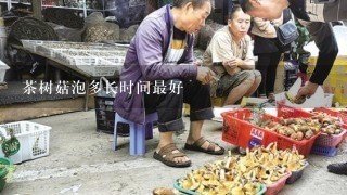 茶树菇泡多长时间最好