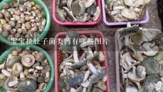 宝宝拉肚子菌类药有哪些图片