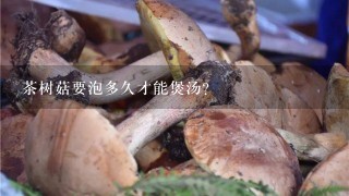 茶树菇要泡多久才能煲汤？