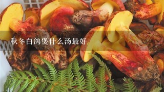 秋冬白鸽煲什么汤最好