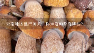 云南地区盛产菌类，你知道的都有哪些？