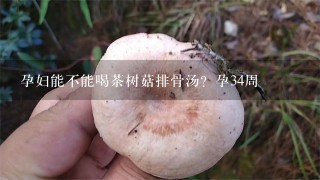 孕妇能不能喝茶树菇排骨汤？孕34周