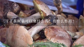 干了茶树菇可以褒什么汤？有什么作用？