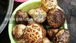 鲜茶树菇能与腊肉煲汤吗