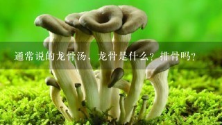 通常说的龙骨汤，龙骨是什么？排骨吗？