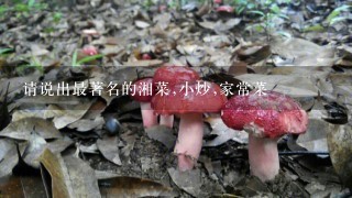 请说出最著名的湘菜,小炒,家常菜