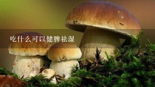 吃什么可以健脾祛湿