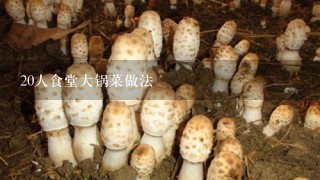 20人食堂大锅菜做法