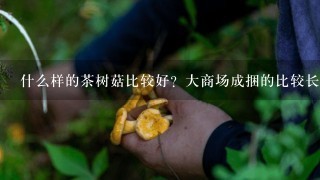 什么样的茶树菇比较好？大商场成捆的比较长，比较细，里面有碎的；在外面买的比较短，比较粗，不会碎。那