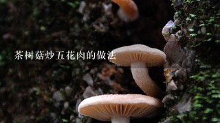 茶树菇炒五花肉的做法