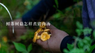 鲜茶树菇怎样煮猪肉汤