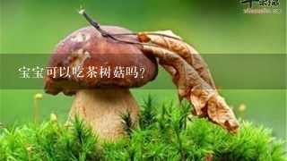 宝宝可以吃茶树菇吗？