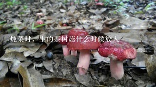 炖菜时，生的茶树菇什么时候放入