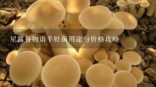 星露谷物语羊肚菌用途与价格攻略