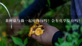 茶树菇与藕一起炖肉行吗？会有化学反应吗？