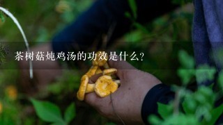 茶树菇炖鸡汤的功效是什么？