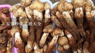 家常炒菜菜谱大全