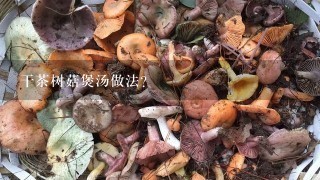 干茶树菇煲汤做法？