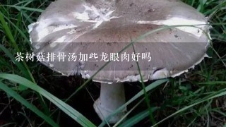 茶树菇排骨汤加些龙眼肉好吗