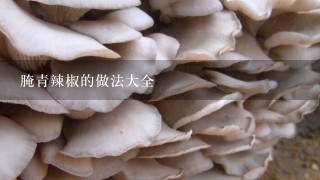 腌青辣椒的做法大全