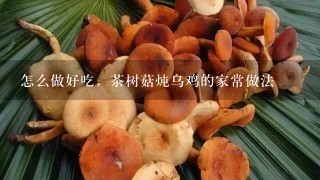 怎么做好吃，茶树菇炖乌鸡的家常做法
