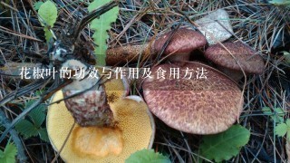 花椒叶的功效与作用及食用方法