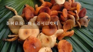 茶树菇泡一晚上还可以吃吗