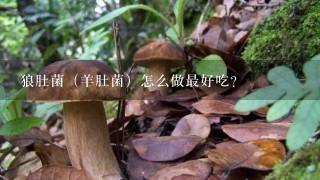 狼肚菌（羊肚菌）怎么做最好吃？