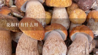 花椒籽有什么用