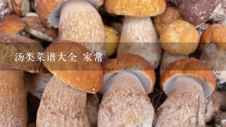 汤类菜谱大全 家常