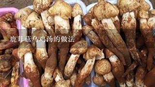 鹿茸菇乌鸡汤的做法