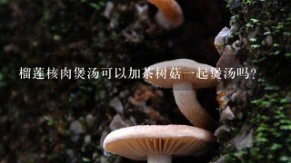 榴莲核肉煲汤可以加茶树菇一起煲汤吗?