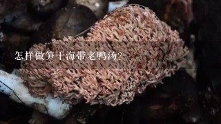 怎样做笋干海带老鸭汤？