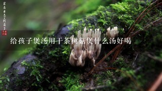 给孩子煲汤用干茶树菇煲什么汤好喝