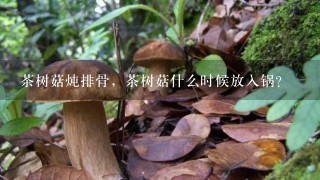 茶树菇炖排骨，茶树菇什么时候放入锅？