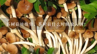 茶树菇炖排骨，茶树菇什么时候放入锅？