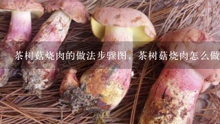 茶树菇烧肉的做法步骤图，茶树菇烧肉怎么做？