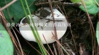 排骨汤怎么炖好喝又营养高压锅